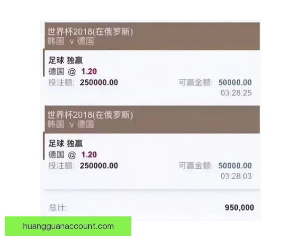 世界杯竞猜投注平台全面上线 提供精准赔率与实时数据分析